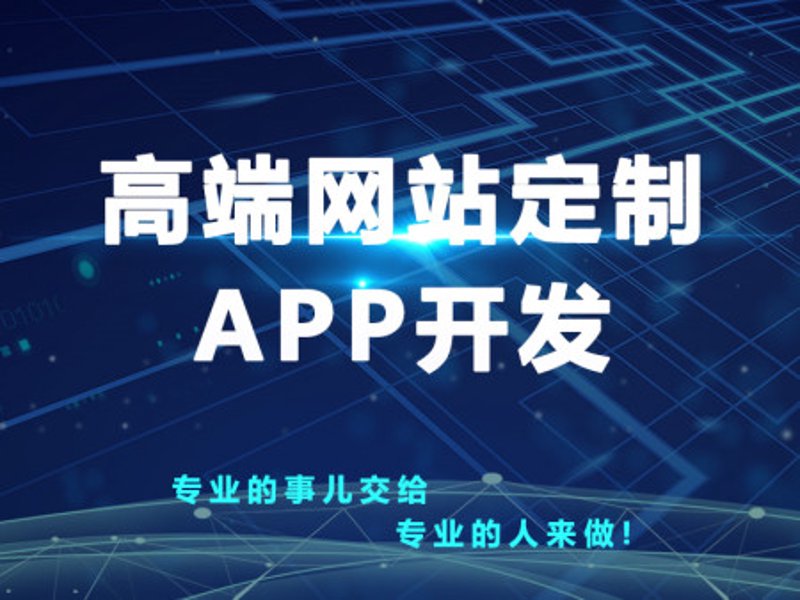 软件开发定制：企业发展的助推器