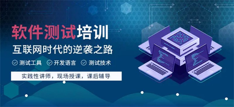西安软件开发:城市创新的催化剂
